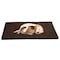 Pet Adobe Pet Adobe Large-XL Self Warming Thermal Pet Crate Pad-36"x24"-Chocolate 439203RKL - alternate 4